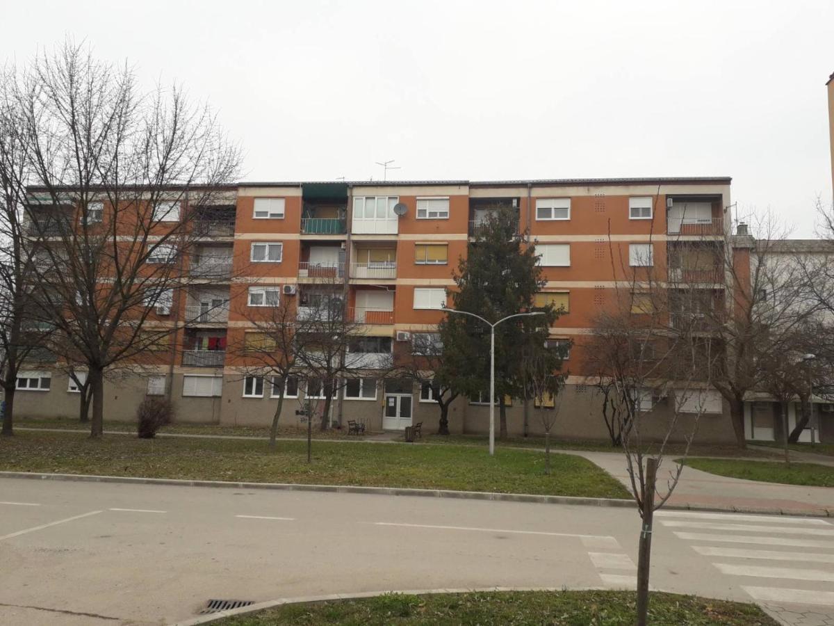 Apartman Ana Жупаня Экстерьер фото